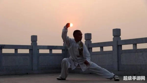 太极拳视频下载