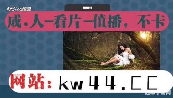 网站你懂我意思正能量晚上免费