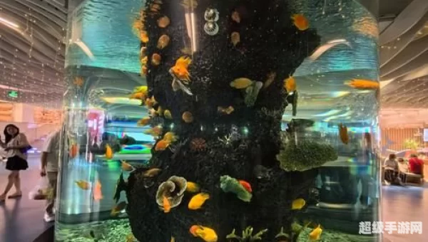迷你水族馆