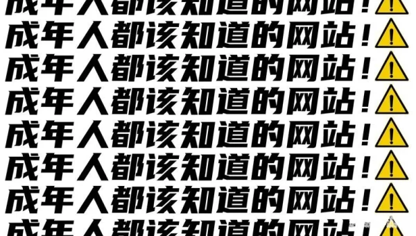 网站晚上你懂