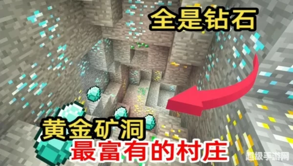 我的世界最富的种子