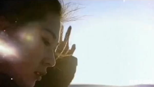 昨日人去楼空泪微凉是什么歌