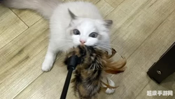 哥布林宠物