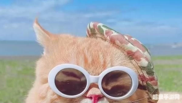网易手机
