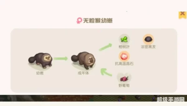 奥比岛攻略