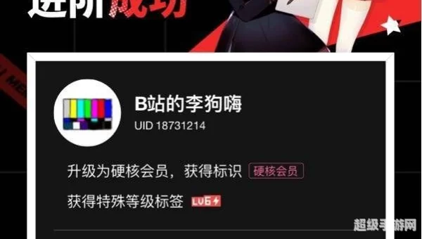 B站硬核会员