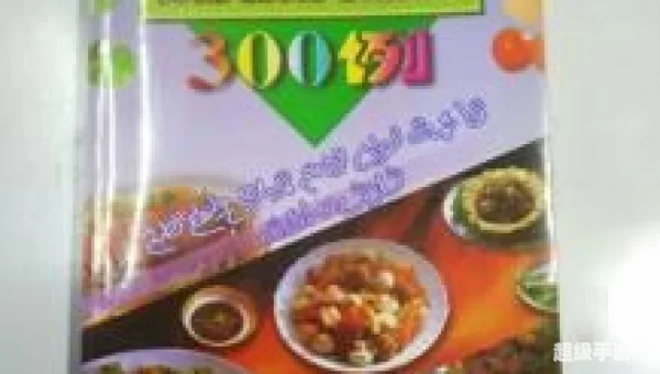 烹饪 300